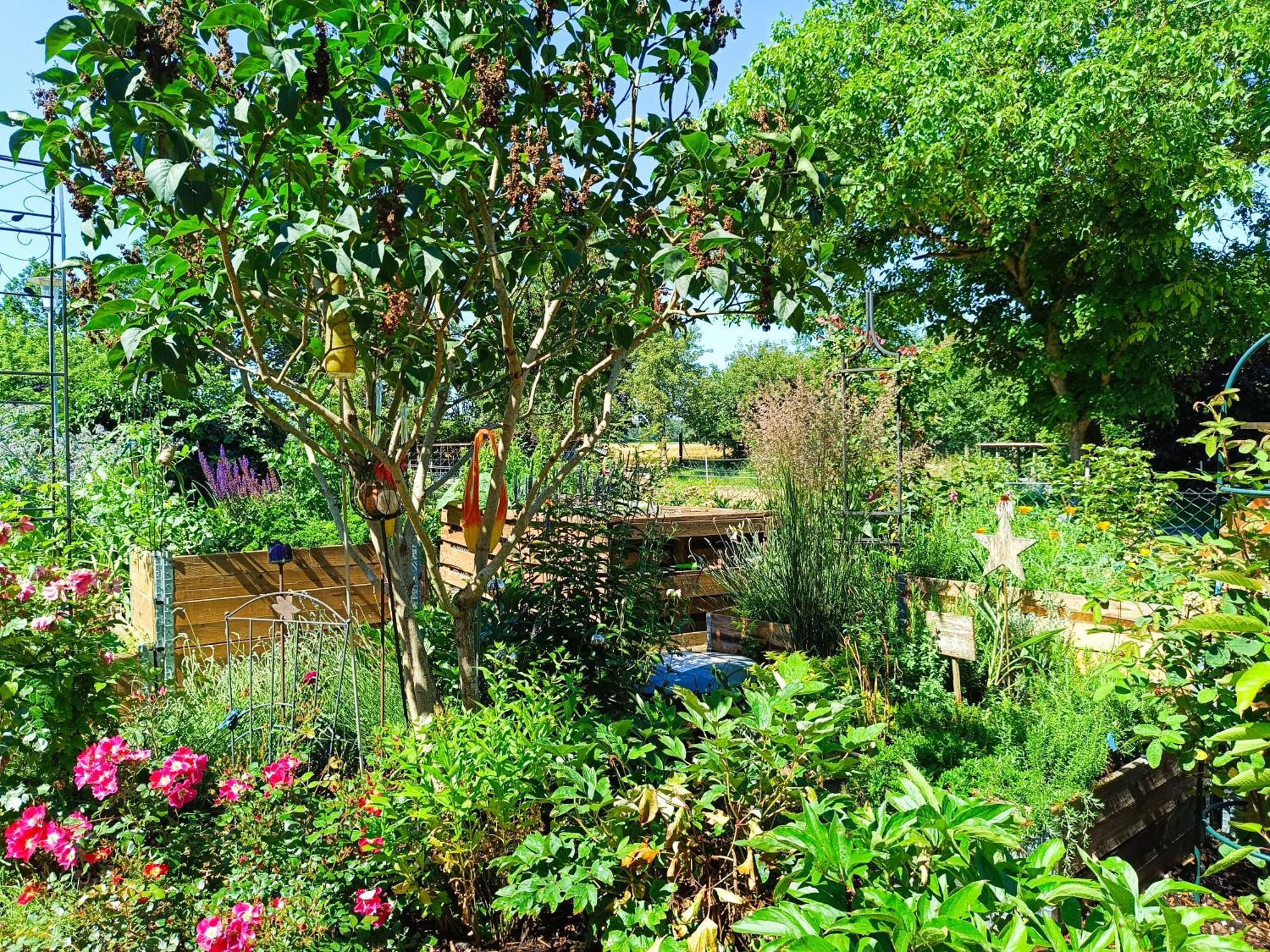 קרגלינגן Landgasthof Zum Rappen מראה חיצוני תמונה