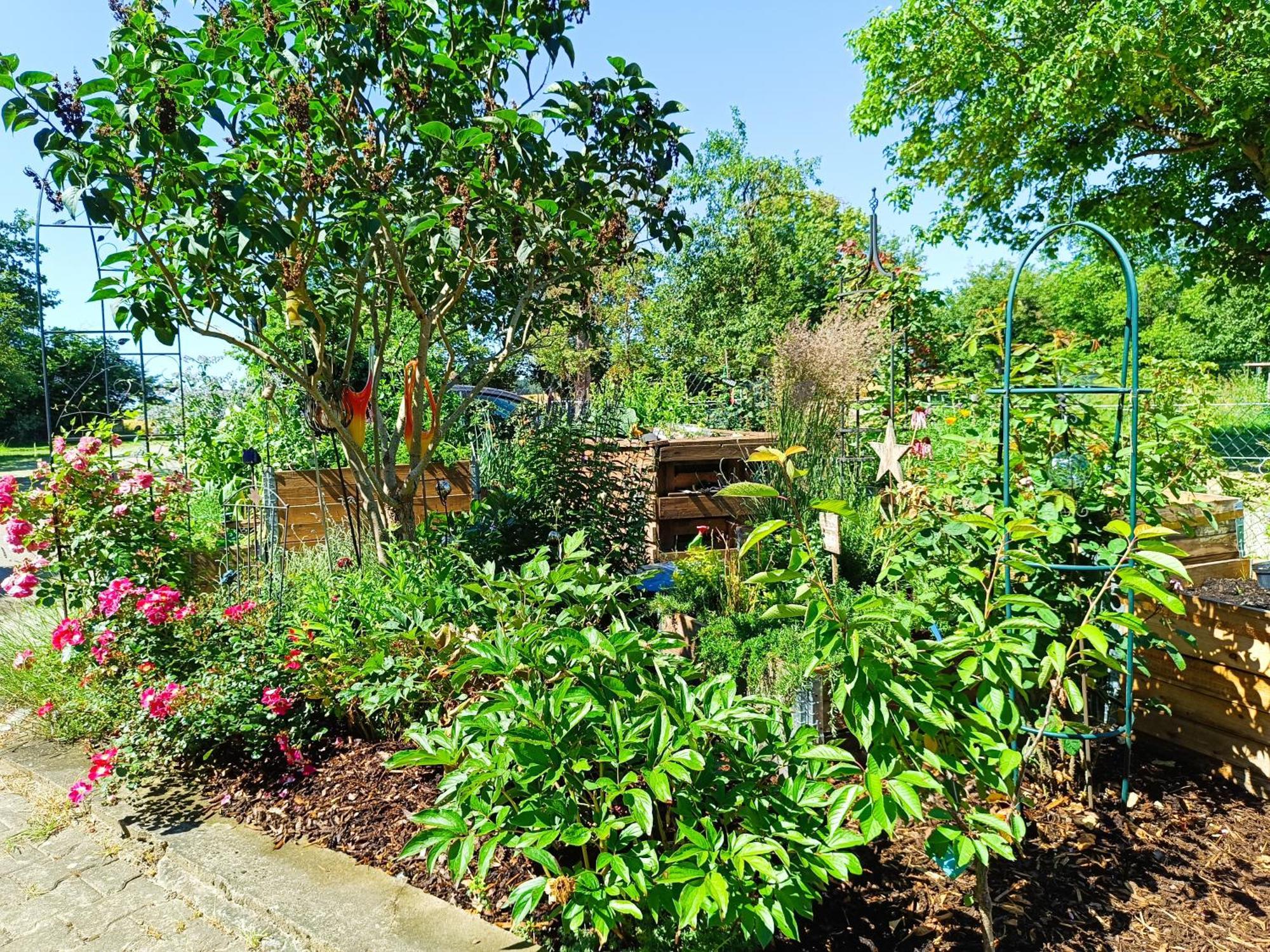 קרגלינגן Landgasthof Zum Rappen מראה חיצוני תמונה